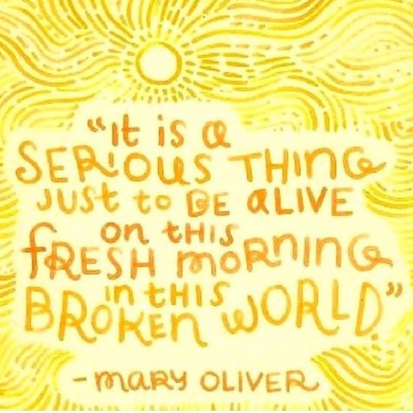 Meet your Posher, Rach - Picture 6 of 7